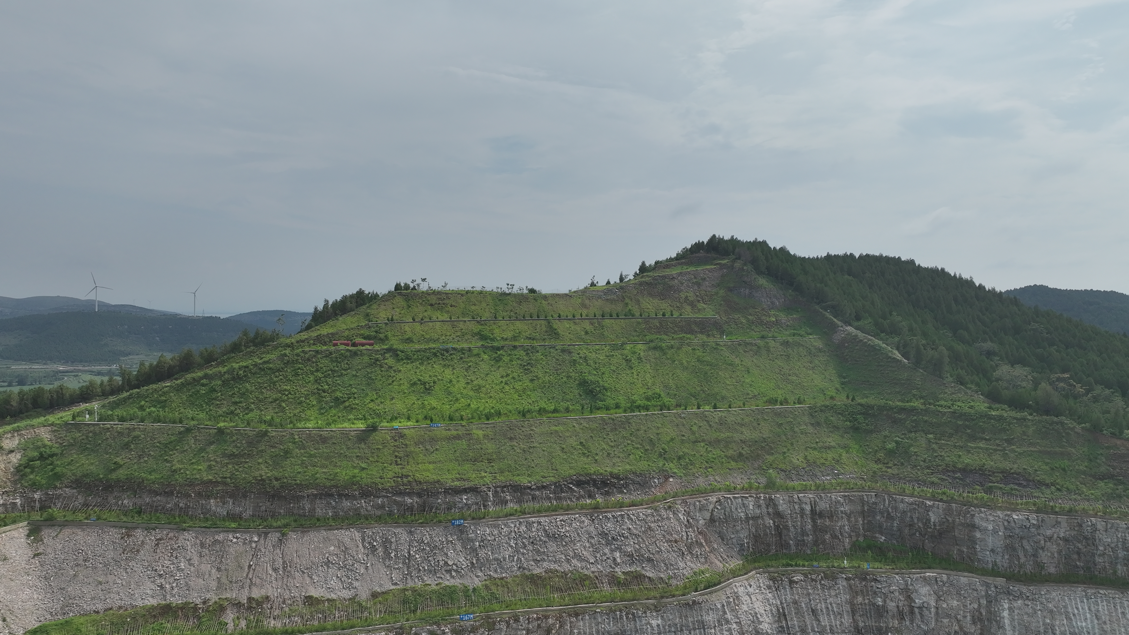 1764033320534.jpg 6.jpg