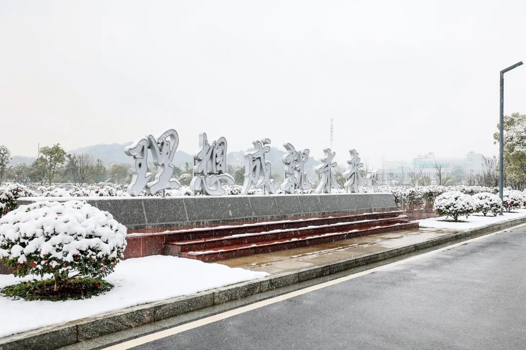 瑞雪兆豐年，邀您共賞雪中山河！